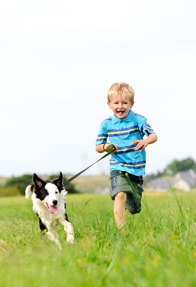 Dog and Boy Running
